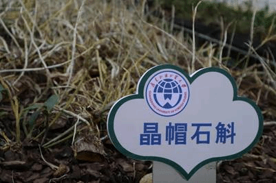 球王会|体育五大联赛最新战报网站
