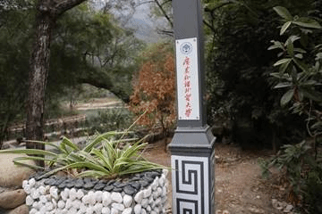球王会|体育五大联赛最新战报网站